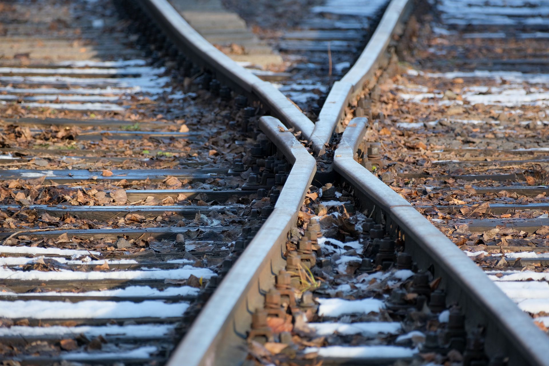 Railway tracks splitting at a junction — two paths, one test